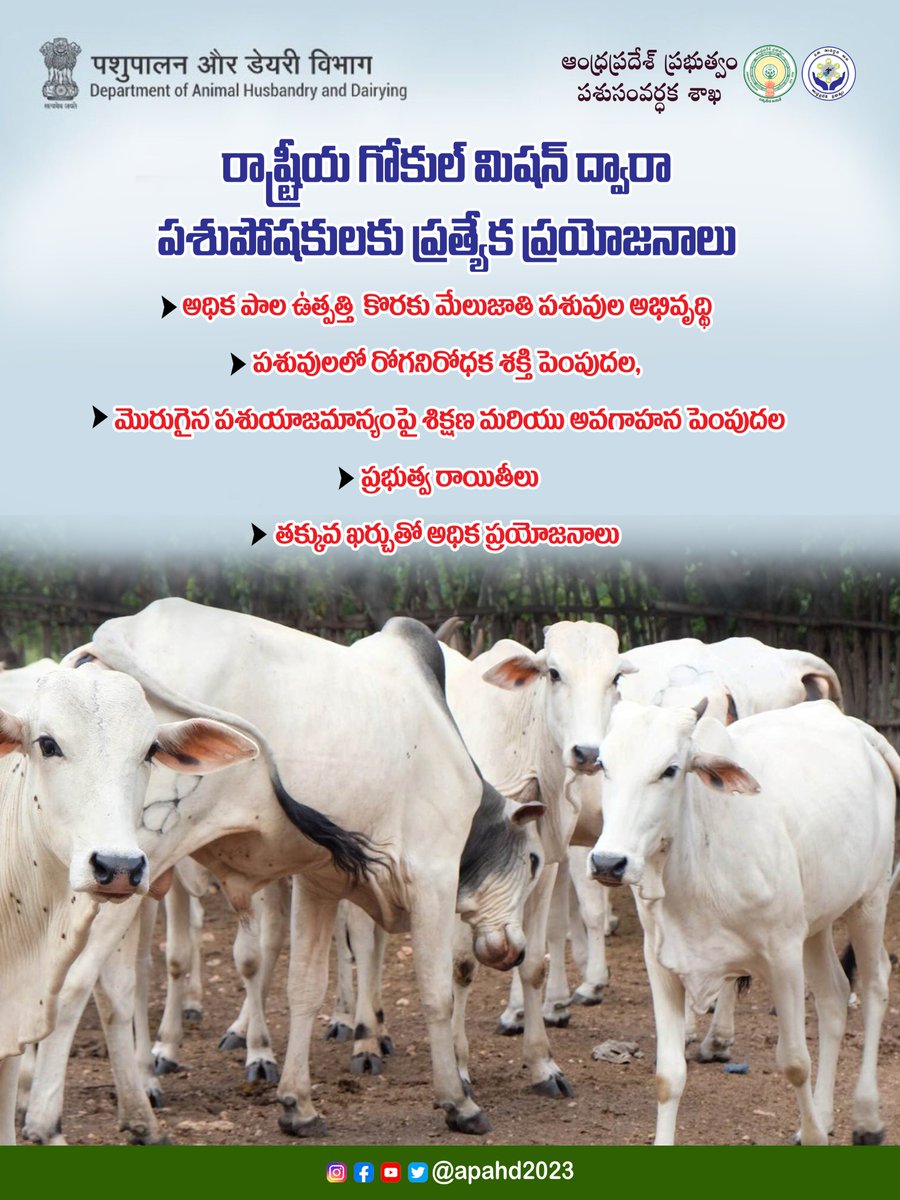 Andhra Pradesh Animal Husbandry Department tweet media