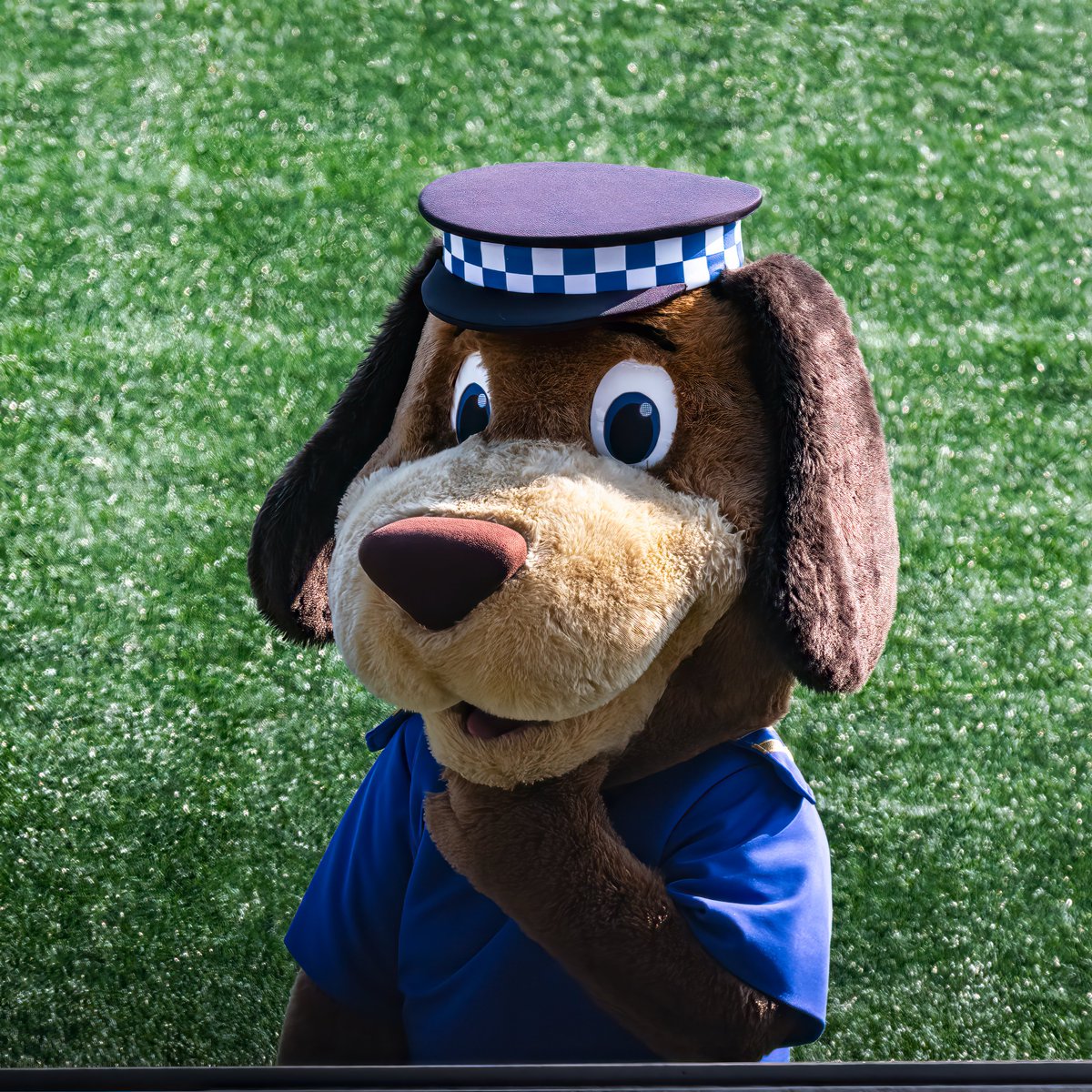 GomboczSteve's tweet image. The players warming up and some pre-match images before the game Bury v Bootle on 21/3/26. #BuryFC #PartOfIt @whitebluearmy @buryfcofficial #bfc140 #shakers