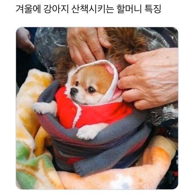 권필쌍 tweet media