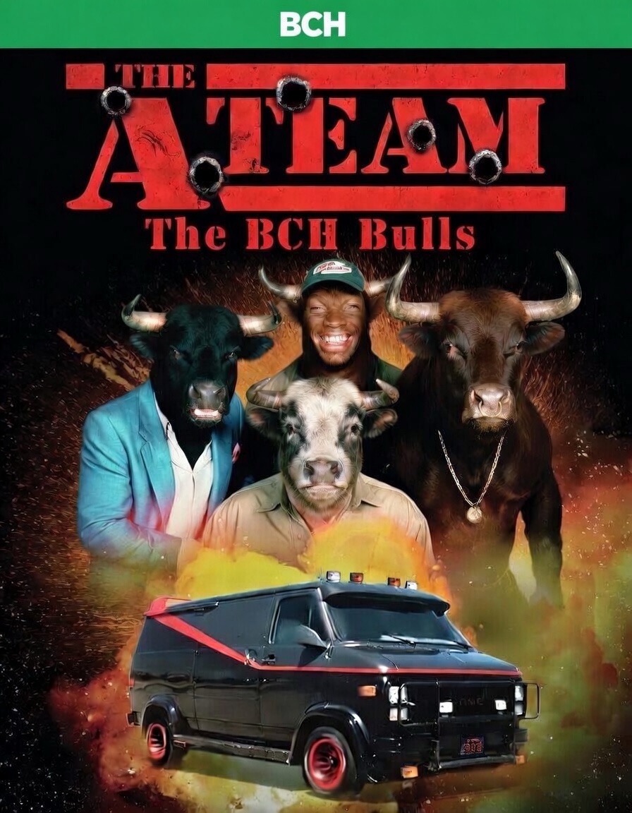 BCH BULL tweet media