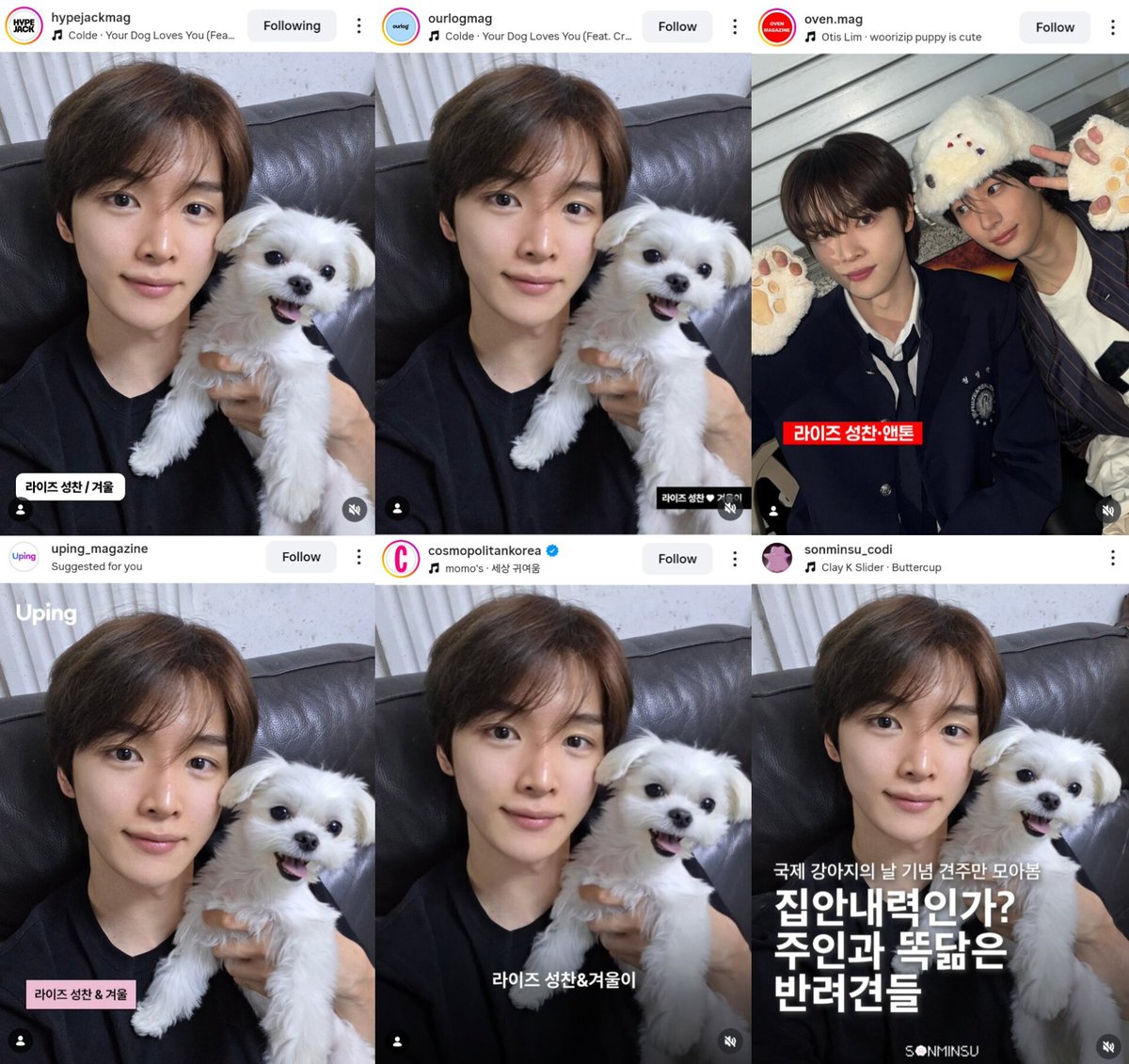 SUNGCHAN LANDS tweet media