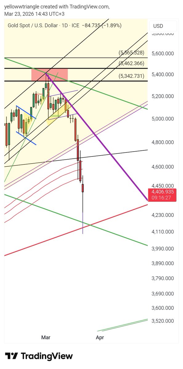 The Yellow Triangle tweet media