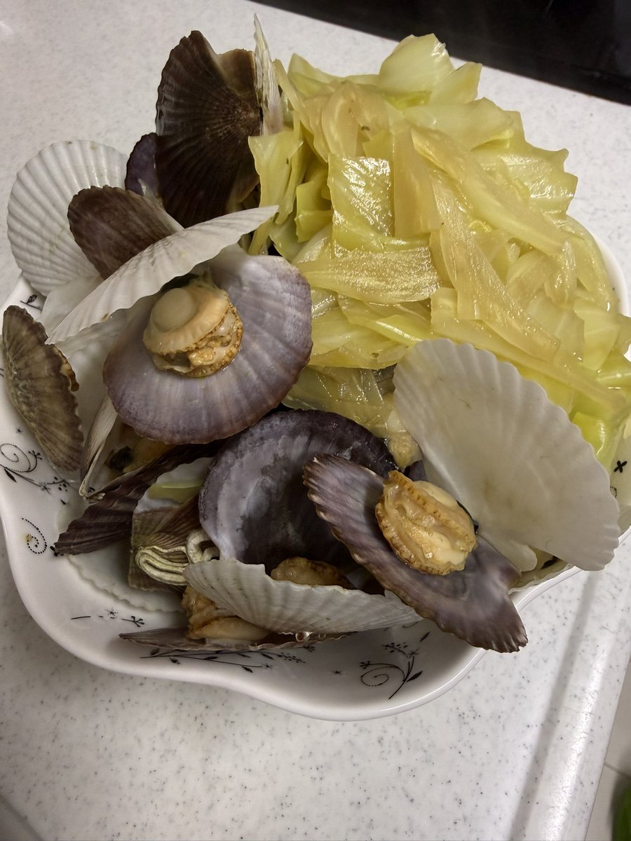 アイチEP606🌲JO2VEE tweet media