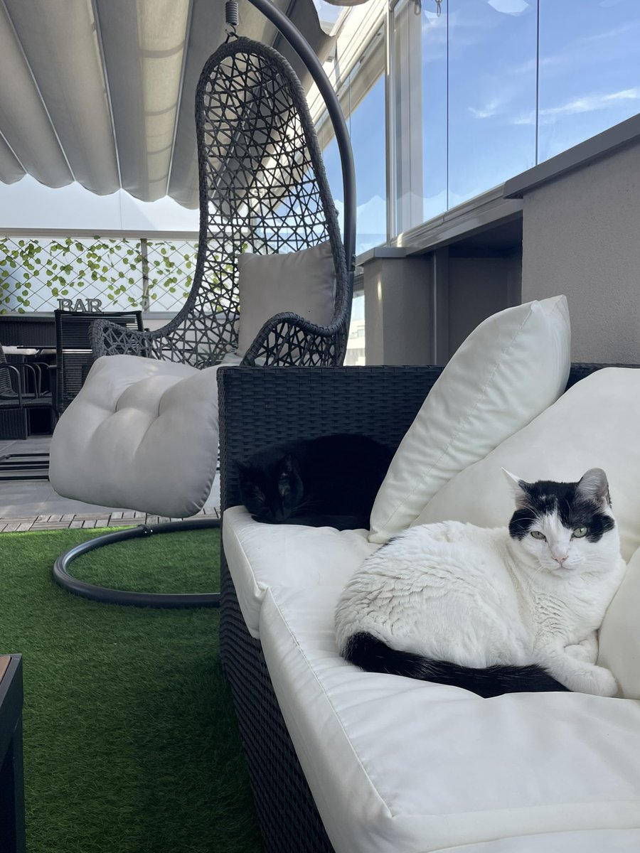 David Álvarez tweet media