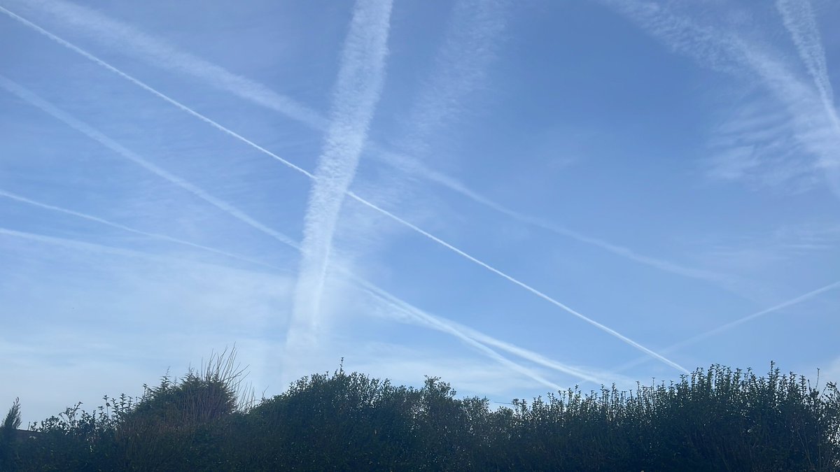 Daniel Cookson tweet media