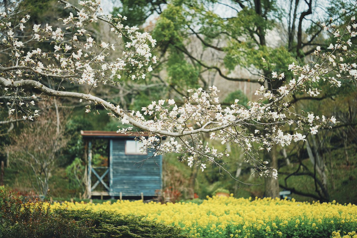神戸布引ハーブ園/ロープウェイ【公式】 tweet media
