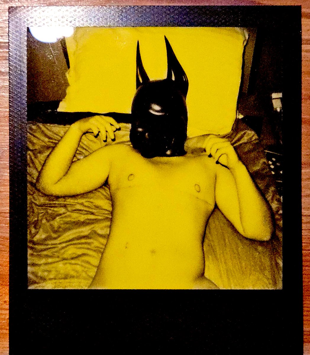 🔞MeeseTeethe🎃 tweet media