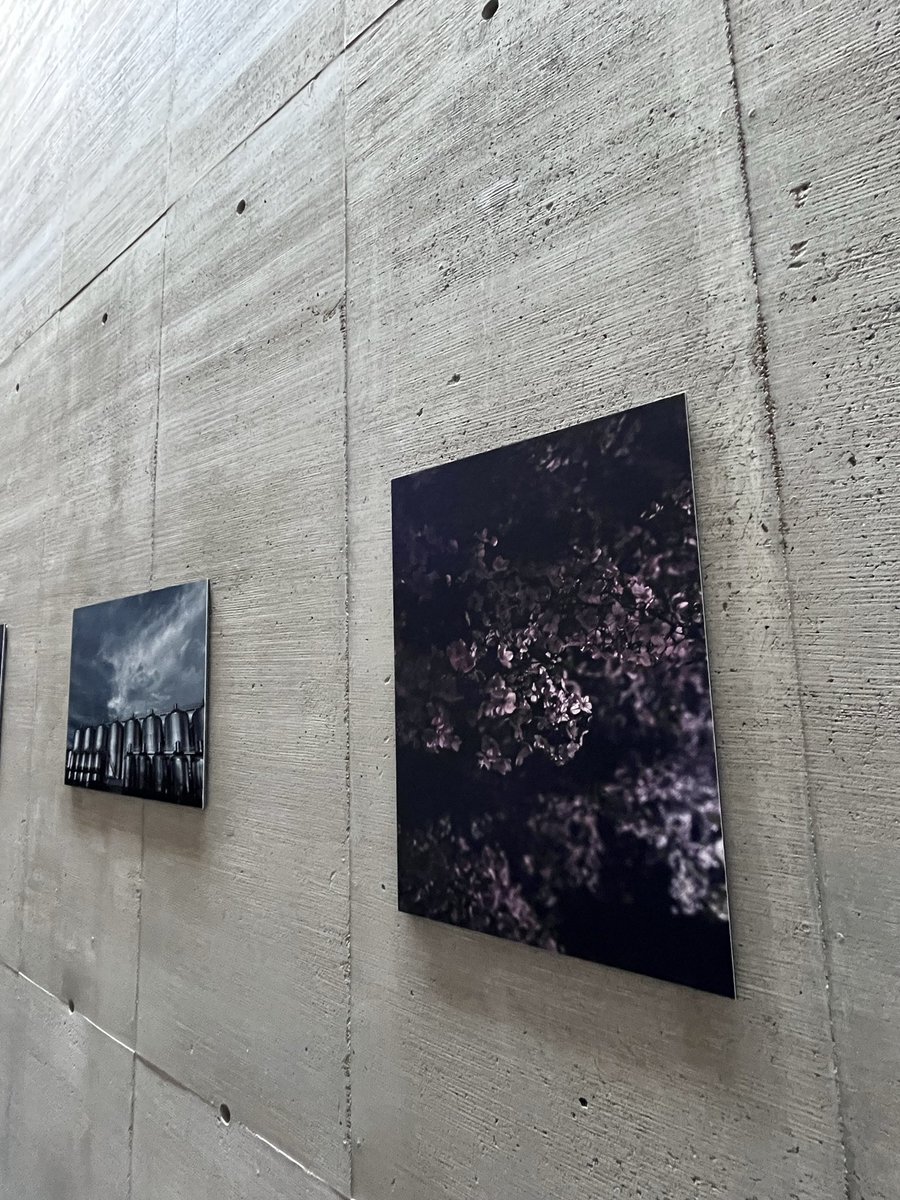 現在アトリエに静(しずか)さんの写真作品を展示しています。初個展。

幼い頃、パラレルワールドを友として孤独を乗り越えてきたという静が見る世界は、この世ならざる色と形に満ちていますが、なぜか居心地の良さを感じさせます。

ご予約と詳細は下記リンクより！是非！

note.com/arborinversa/n…