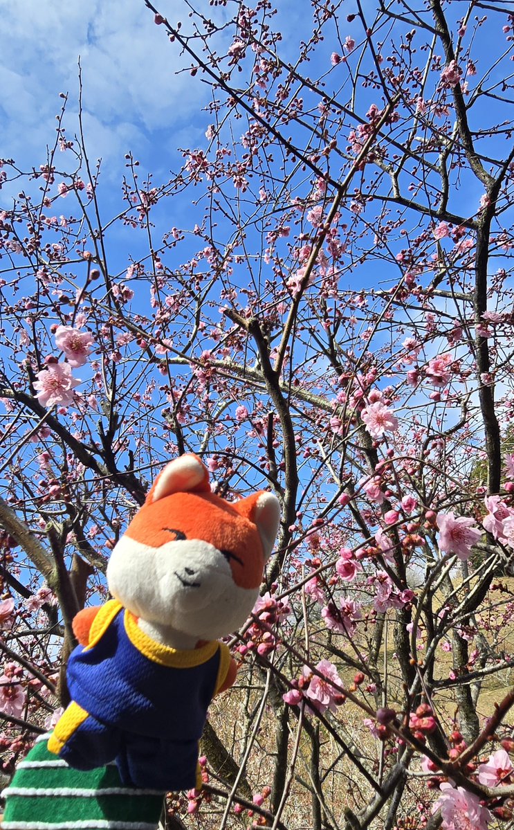 moonbowMom tweet media