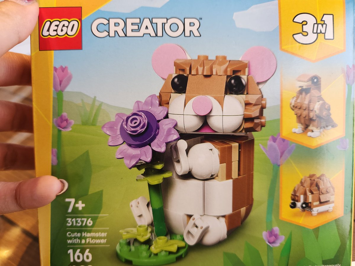 Gabriella🐁🐀🍉💕 tweet media