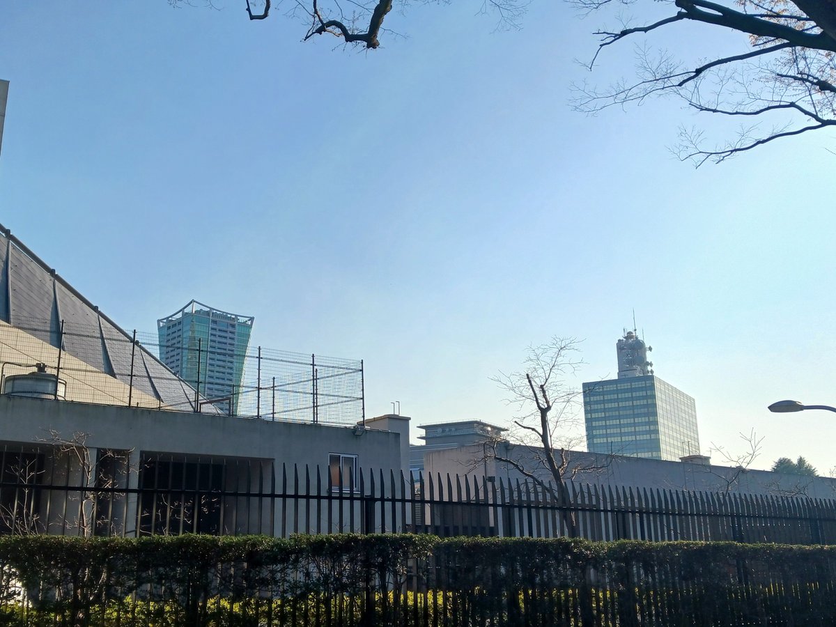 近野真一new tweet media