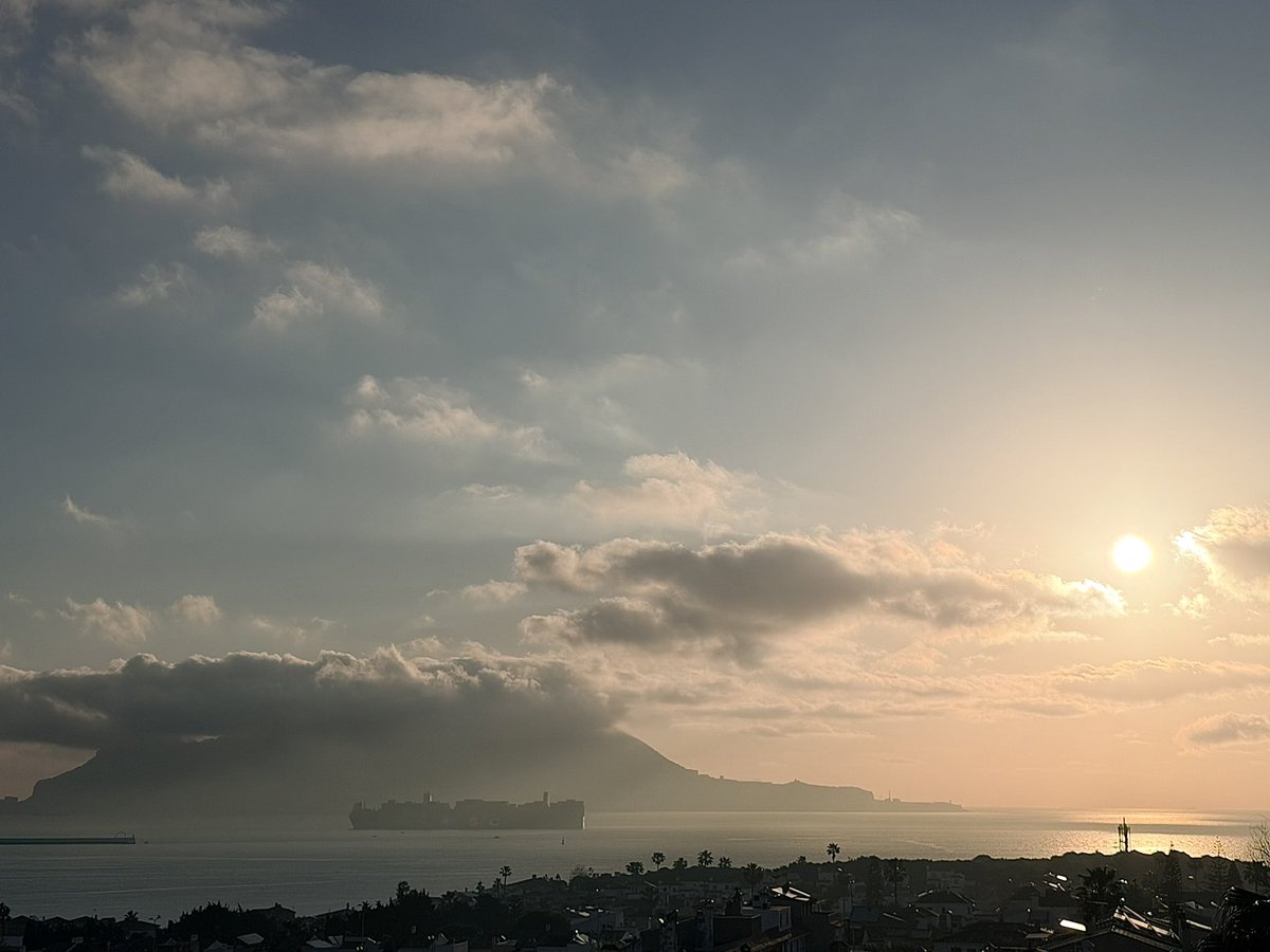 Pasito a paso…
#BuenosDías🍀