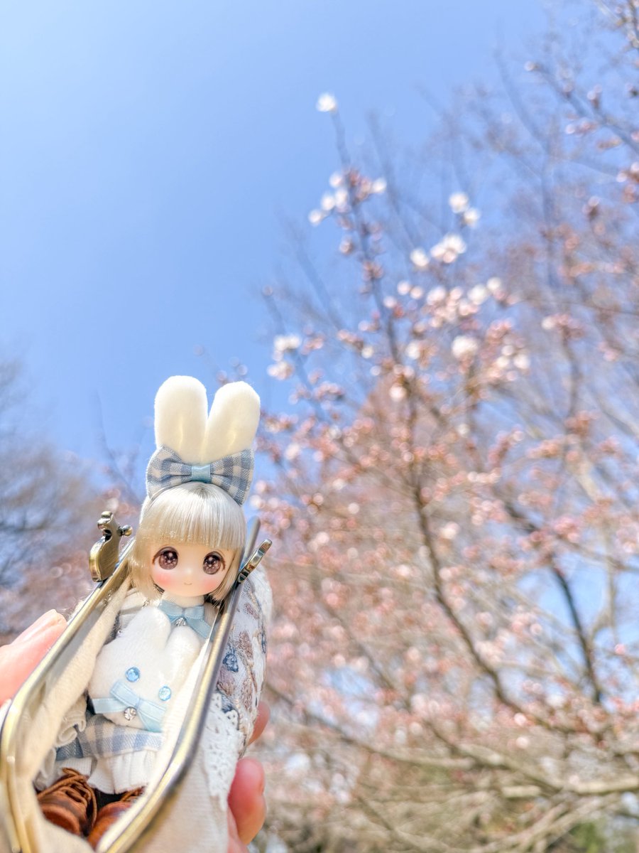 オレンジペコ tweet media