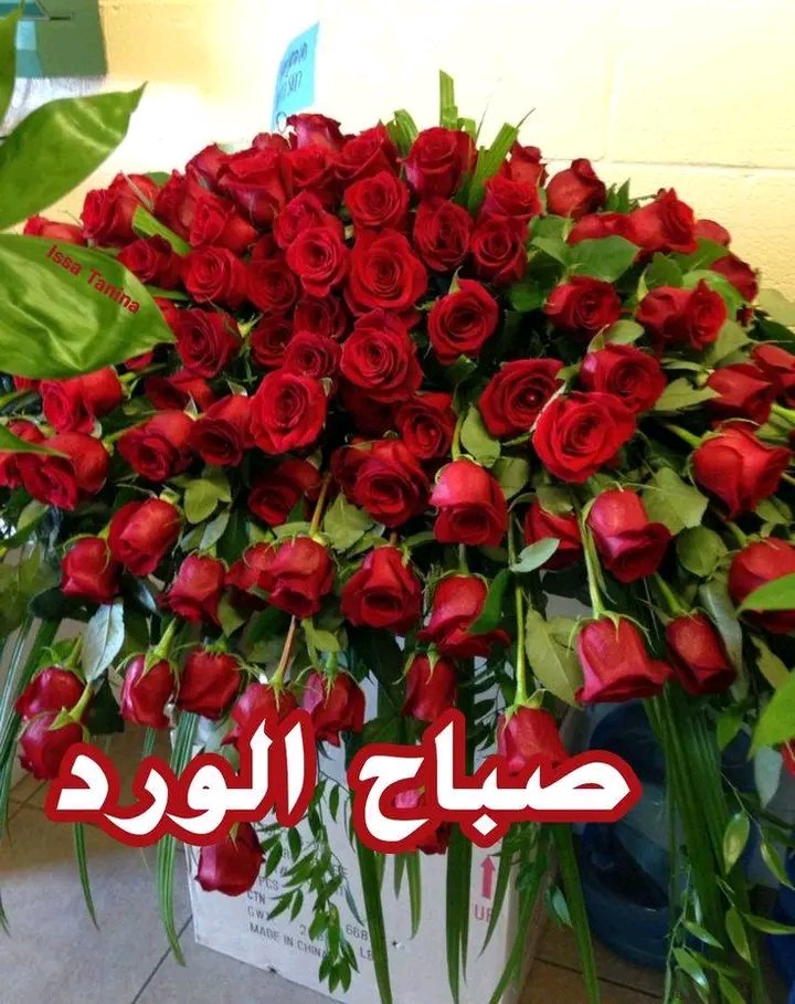 🇸🇦🇯🇴فاتن-المناصير tweet media