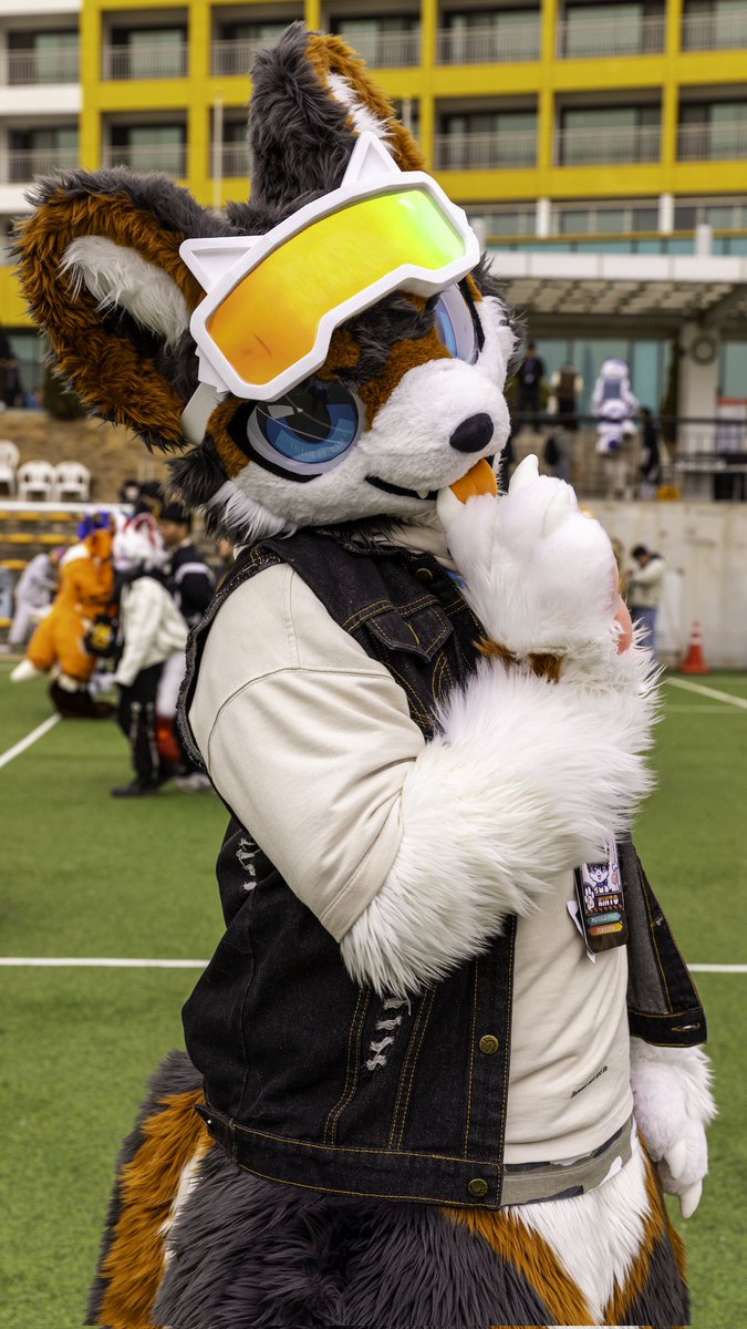 털뭉치앨범🍀 tweet media