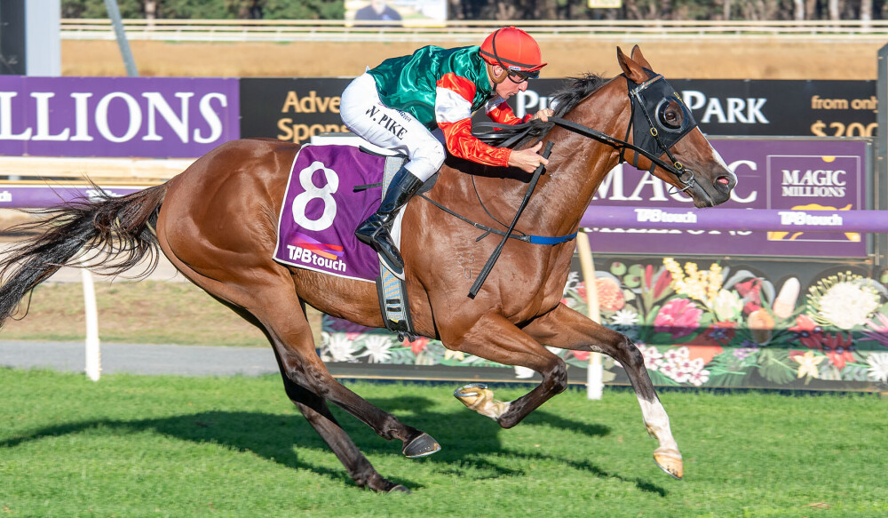 Williams Racing WA tweet media