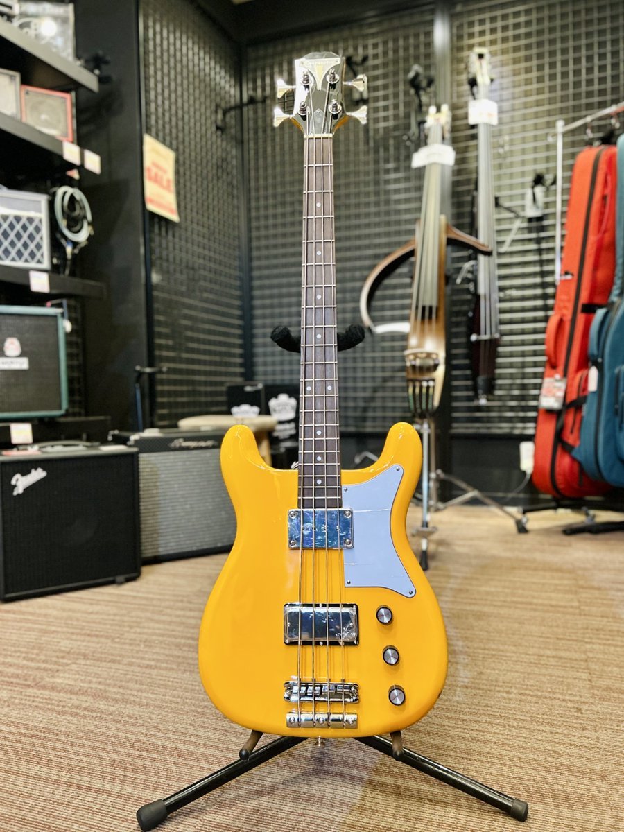商品情報】 #Epiphone Newport Bass (California Coral 