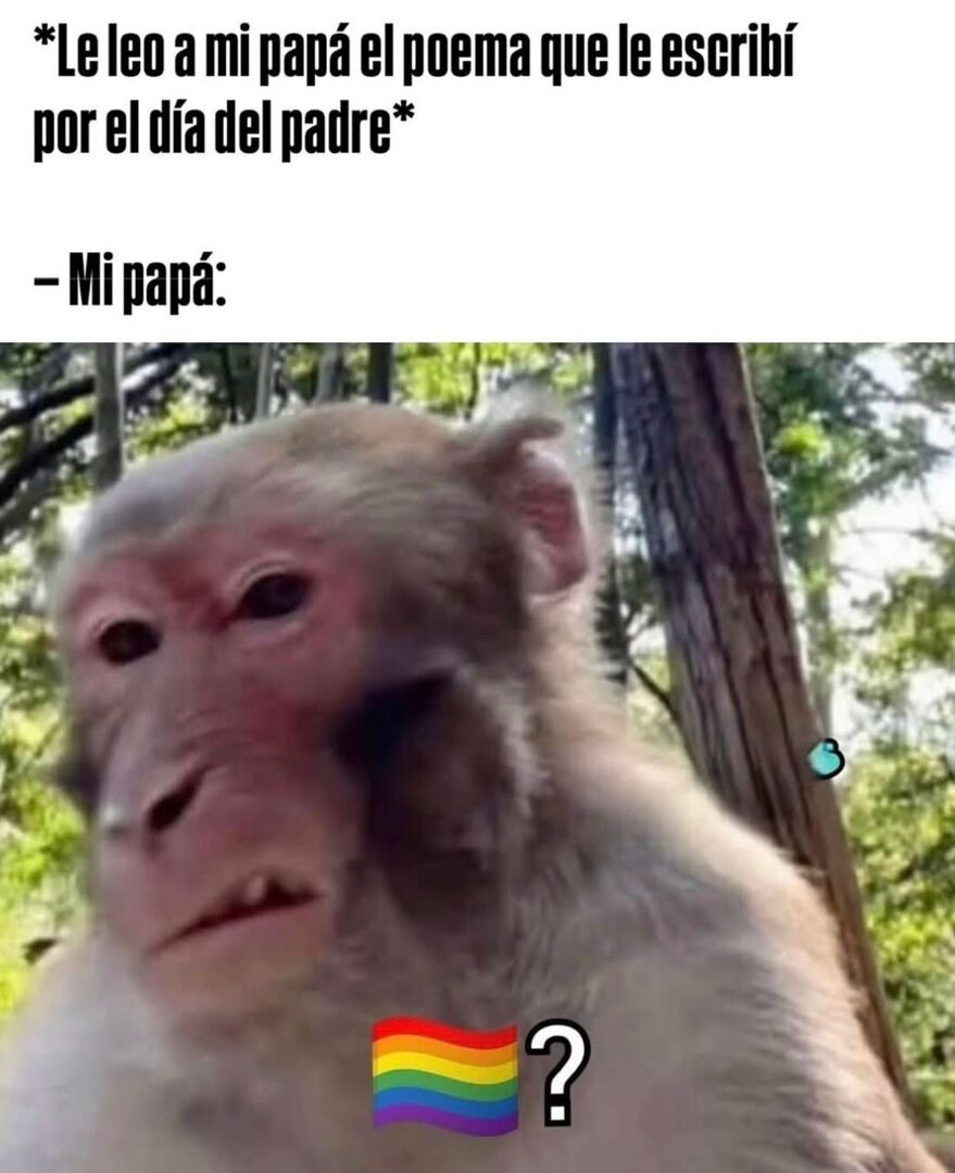topmejorvirales's tweet image. #memes #jajaja #risas