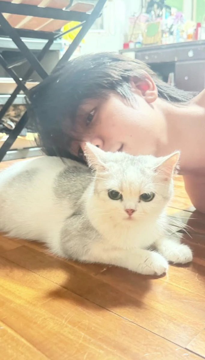 iu c date ໒ྀི tweet media