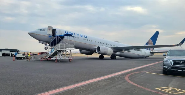 tantomile 🏳️‍⚧️ tweet media