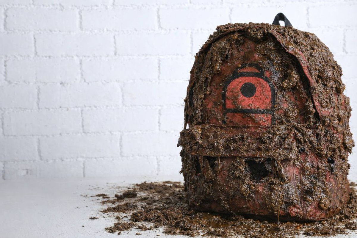 Crypto Bull 💪 tweet media