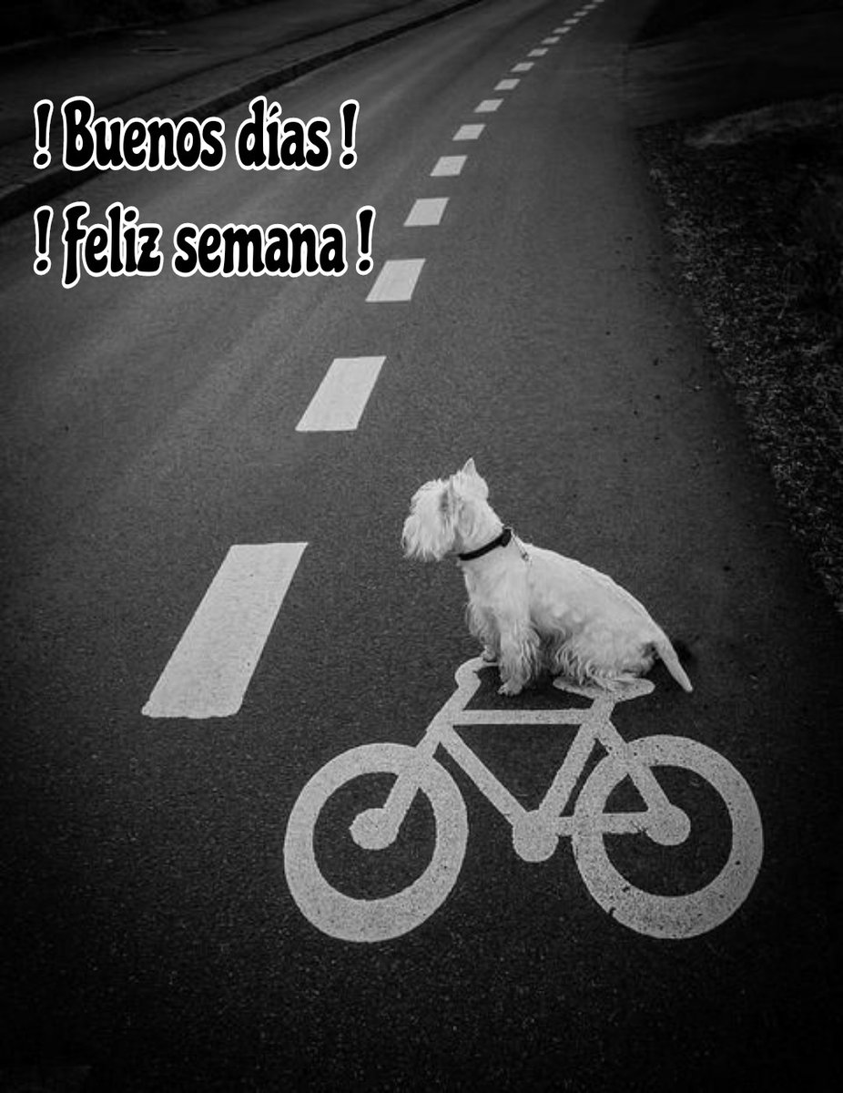 carlos simon (@carlosgrammy) on Twitter photo 