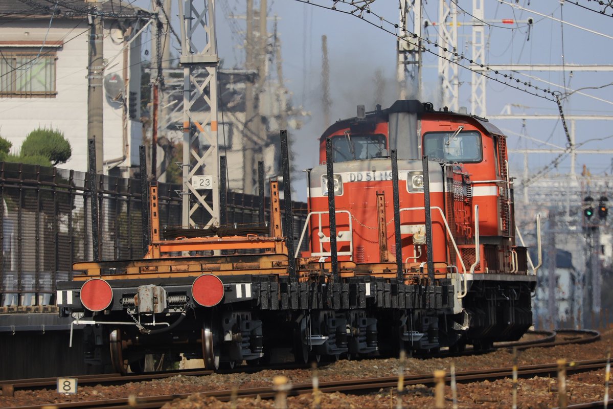 西のカモレ tweet media