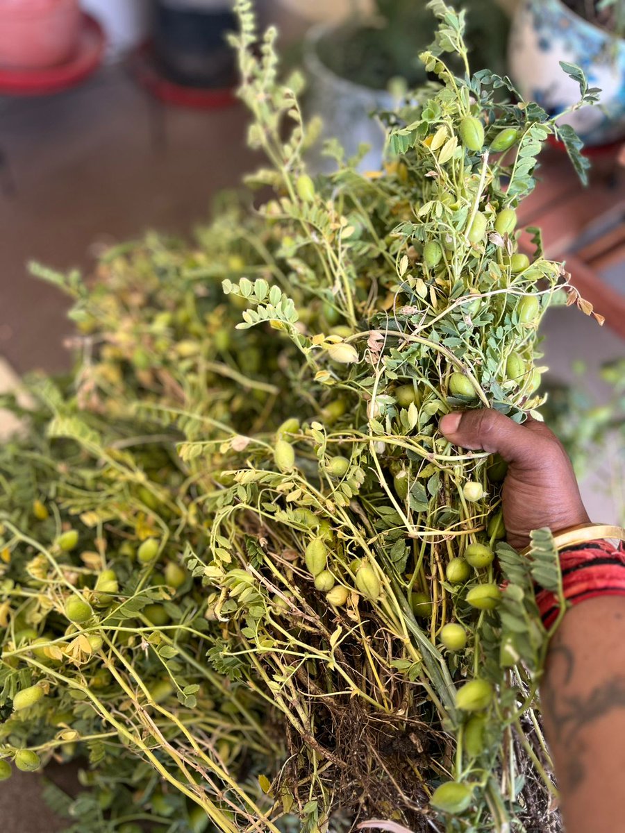 Monika sharma !! tweet media