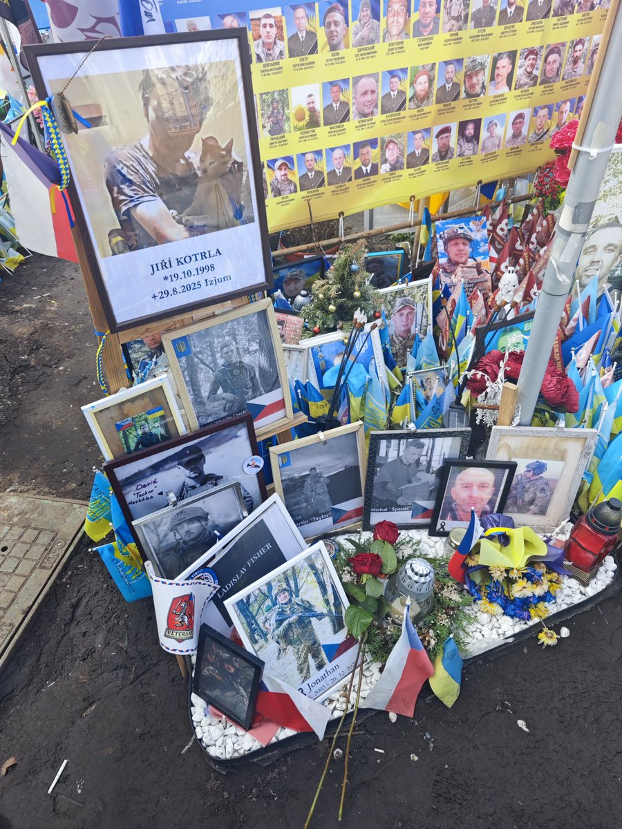 Modřanská kapybara tweet media