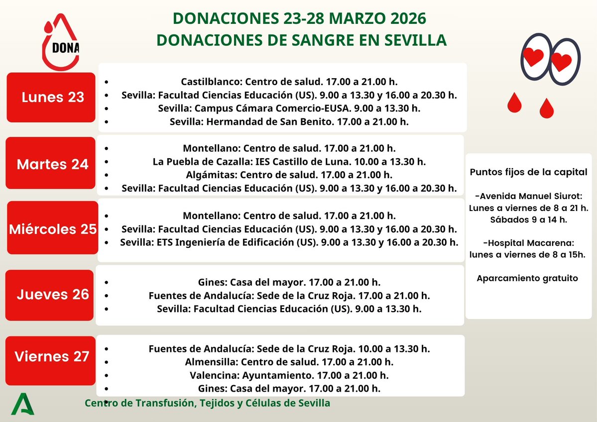 CTS Sevilla tweet media