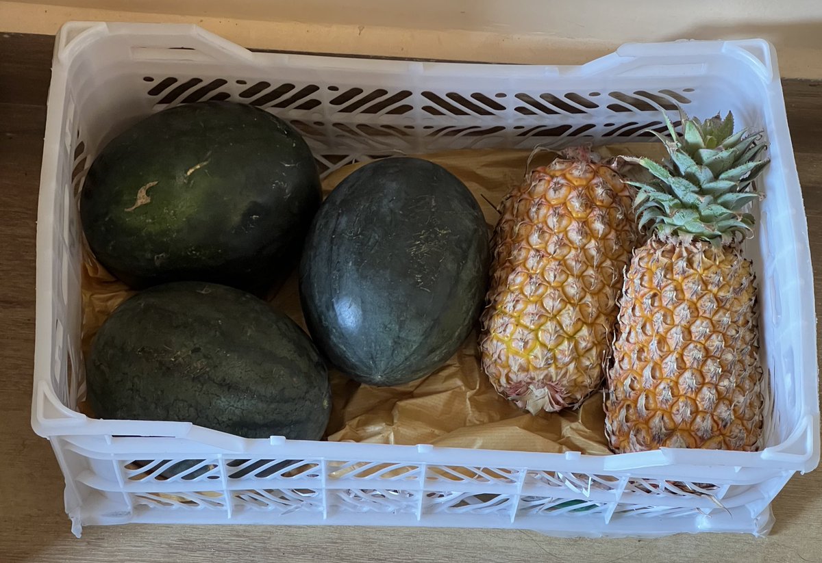 Abhinav Singh | Fat Loss & Strength tweet media