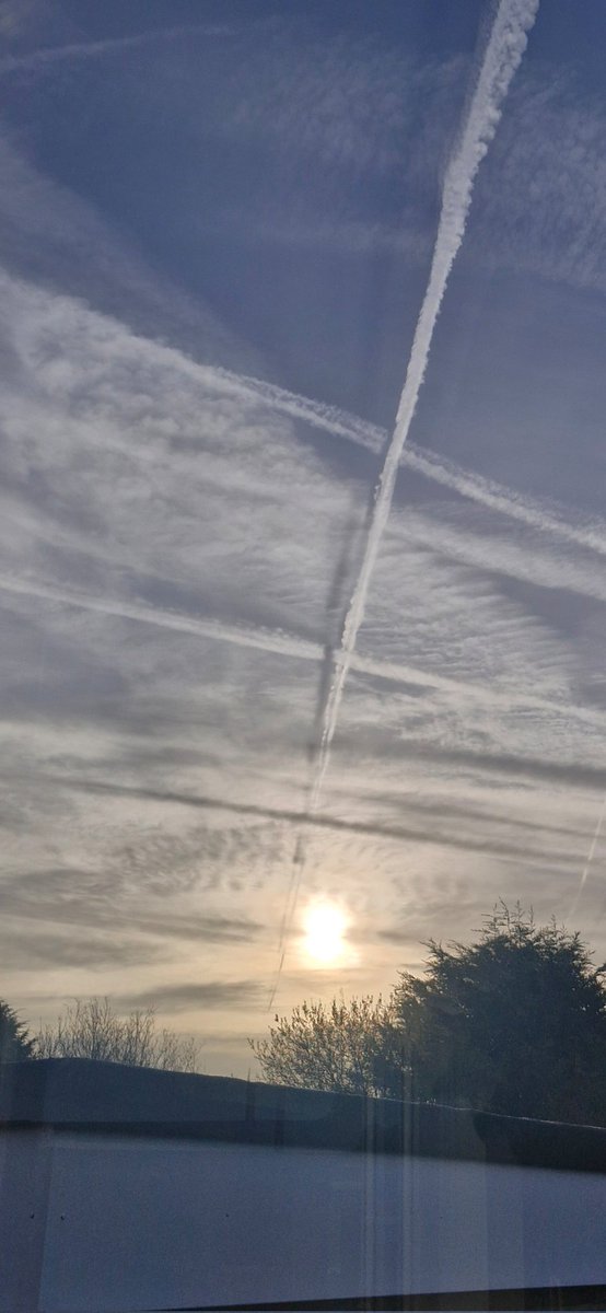 Dawn Warrilow tweet media