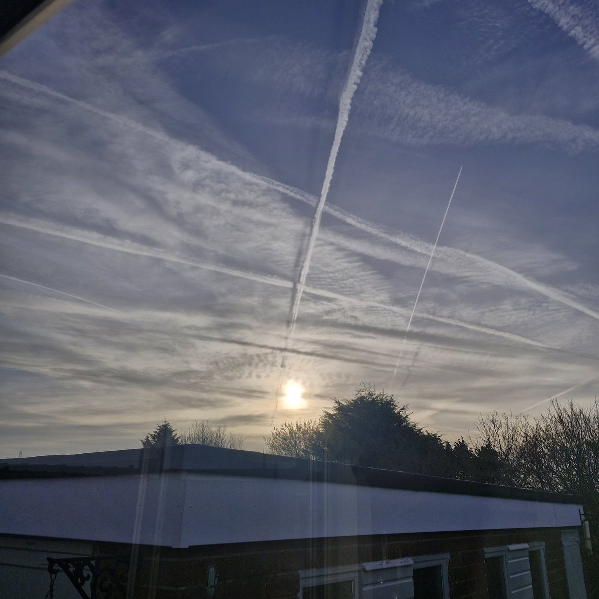 Dawn Warrilow tweet media