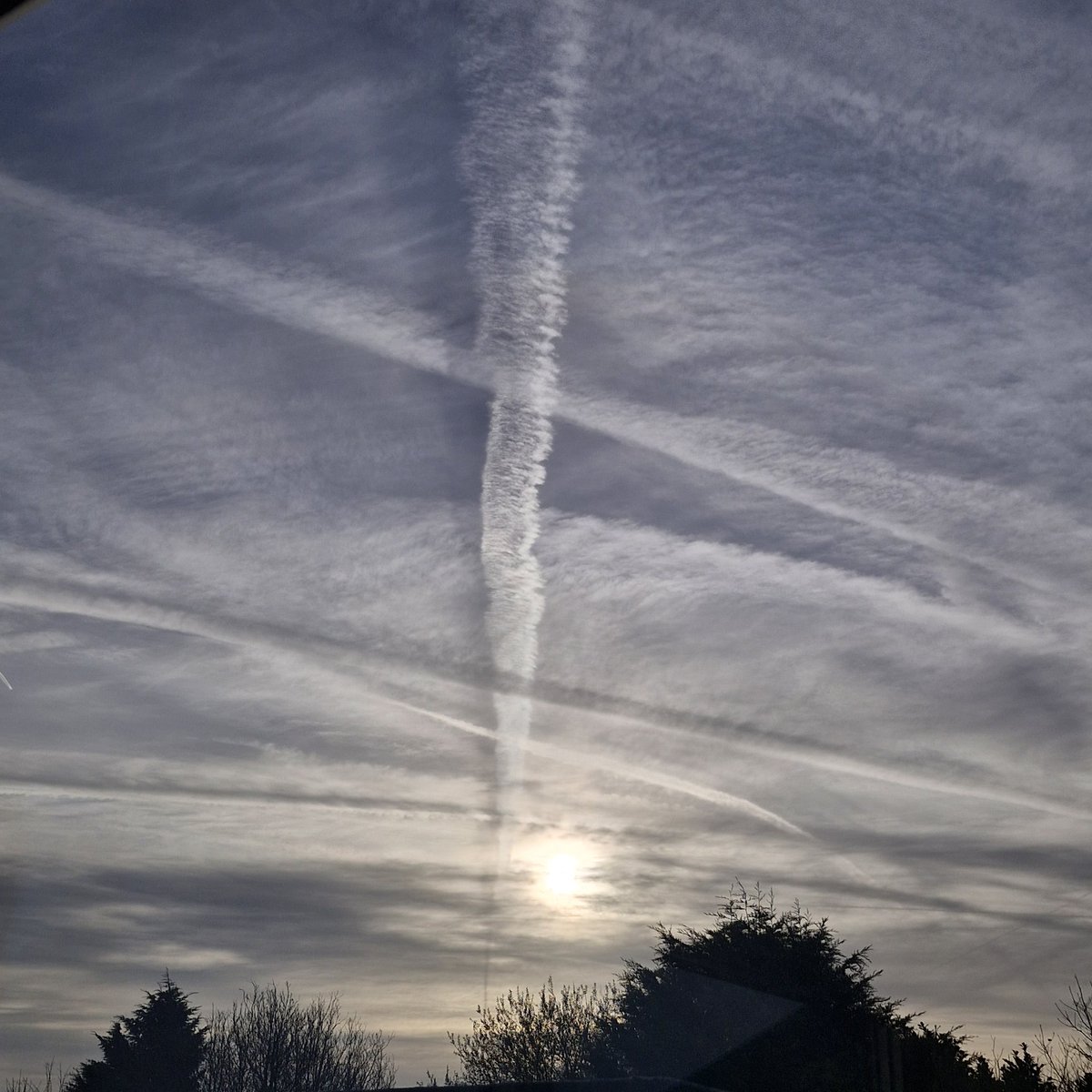 Dawn Warrilow tweet media