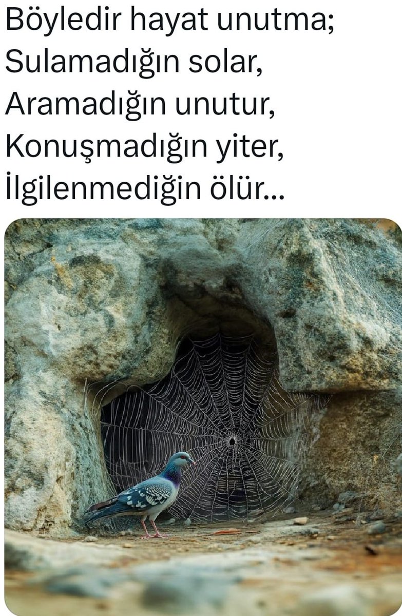 Mr.Karkin tweet media