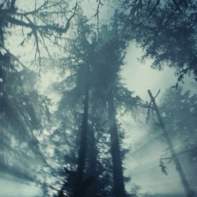 elena 🍎♟️ tweet media