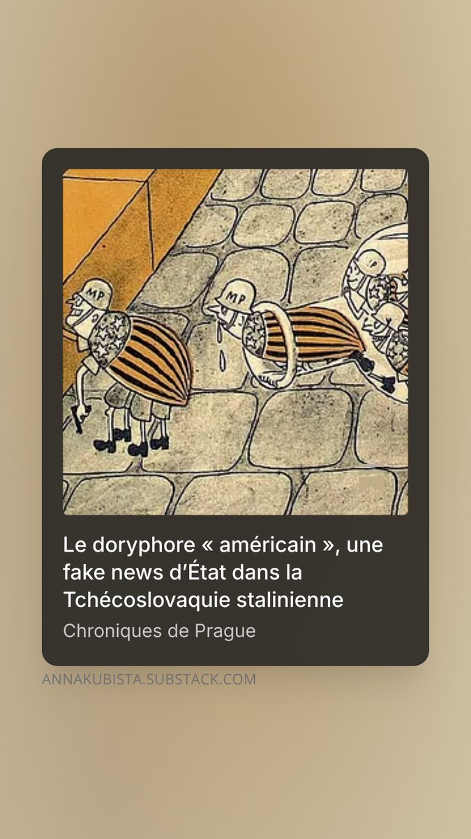 Anna Kubišta tweet media