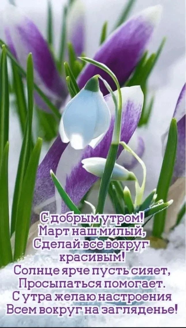 Лариса Бутахина tweet media