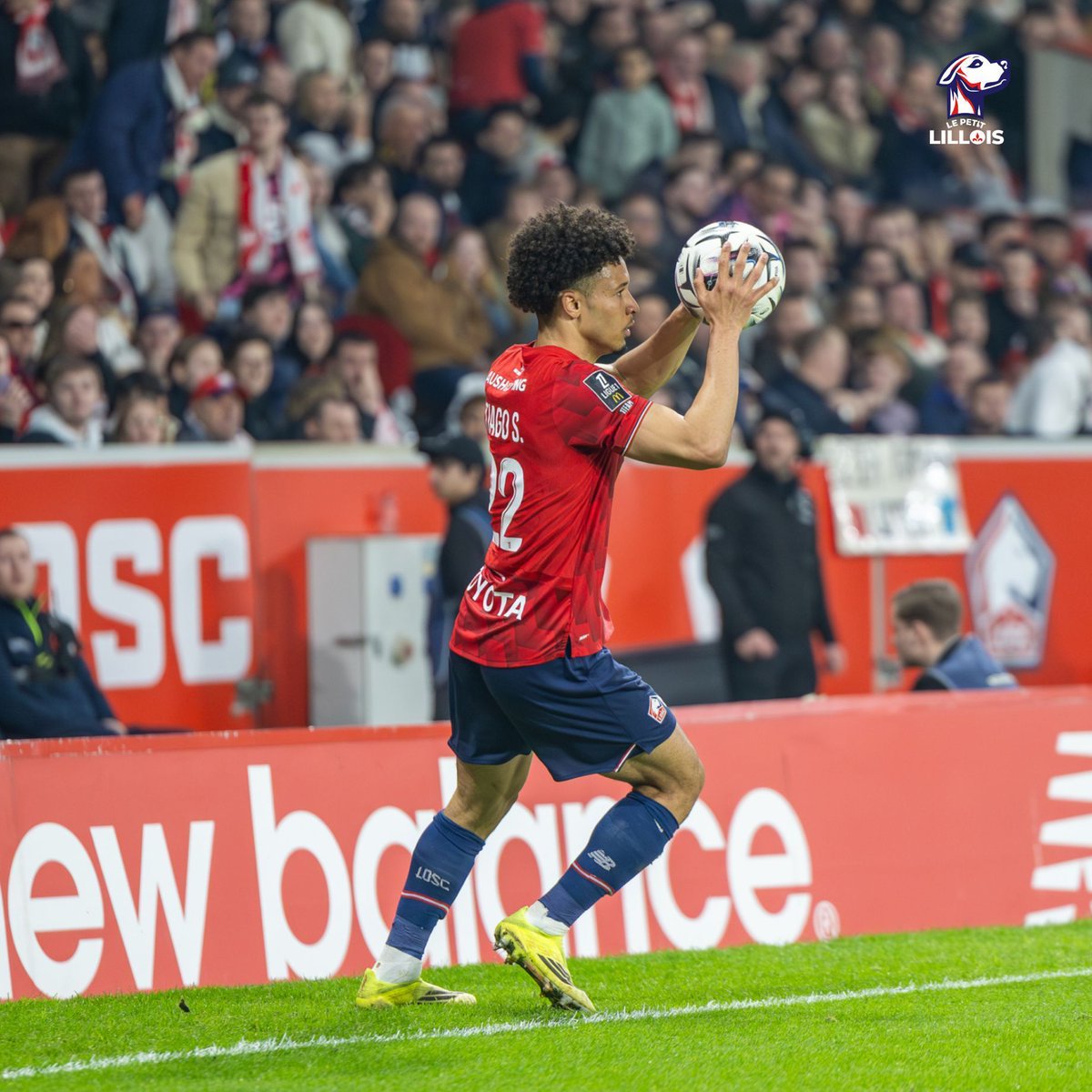 Le Petit Lillois ⚜️ tweet media