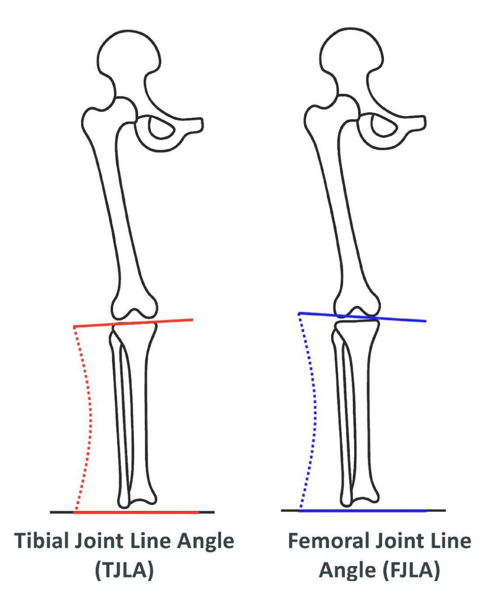 Bone & Joint Open tweet media