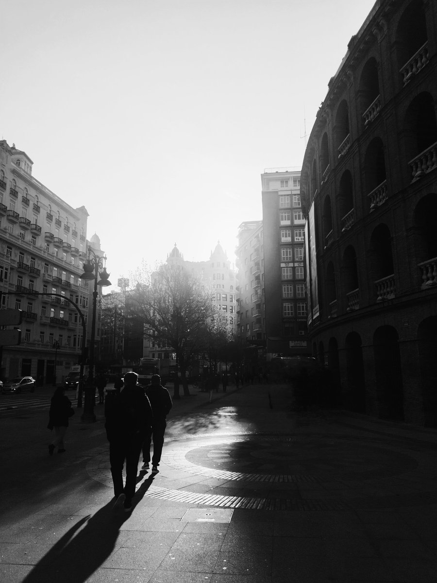 Sinopsis tweet media