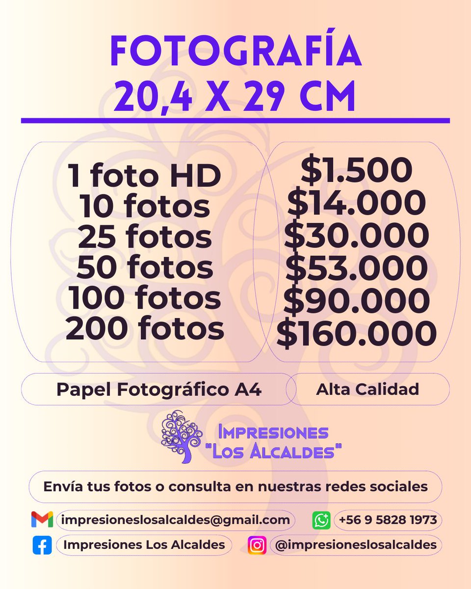 imp_alcaldes's tweet photo. Contamos con servicios de impresión fotográfica y de documentos en #Valdiviacl. Envía tu archivo vía correo o whatsapp y retira tus documentos impresos en minutos https://t.co/tHQqJZRUHL