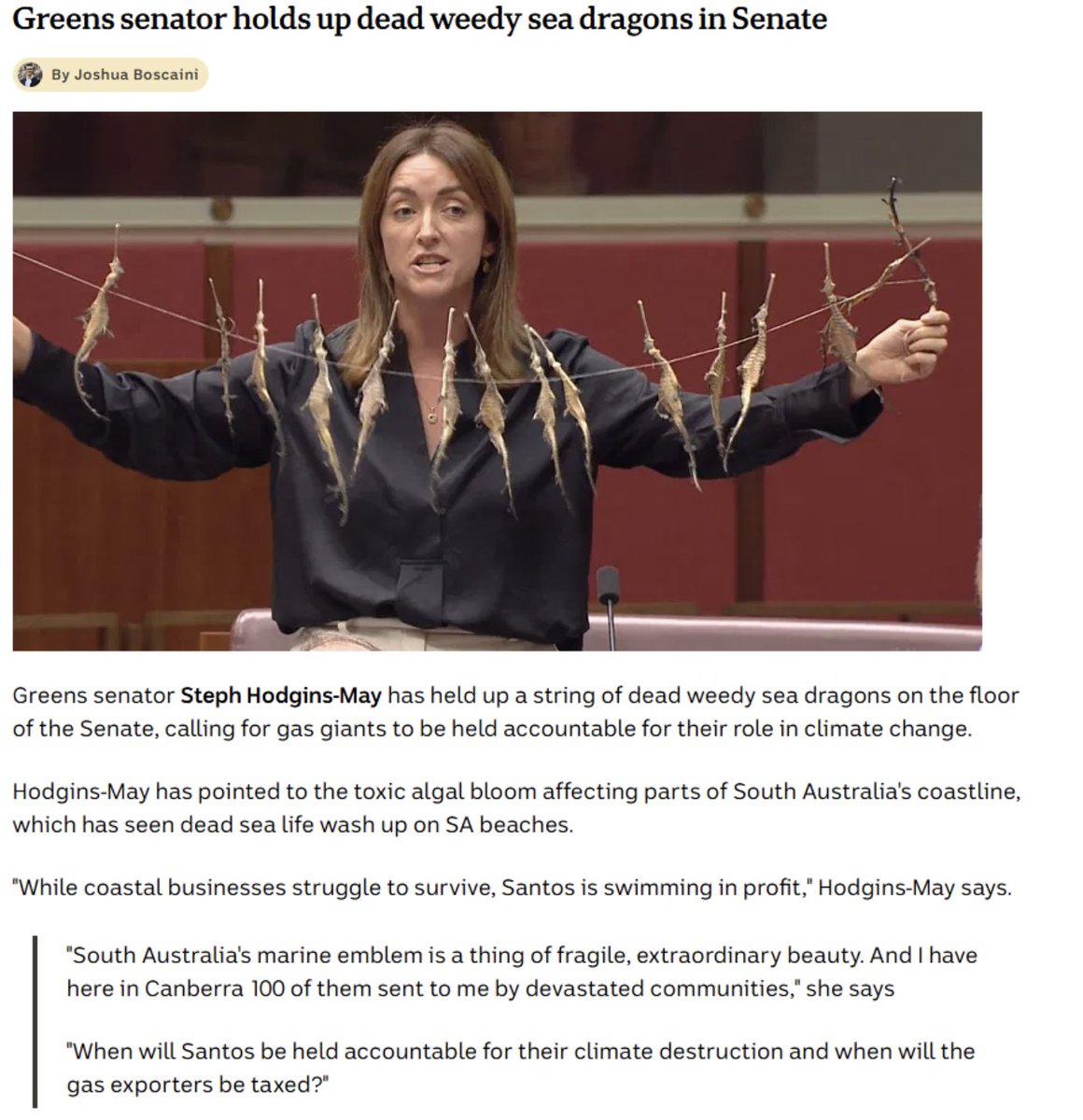 Steph Hodgins-May tweet media