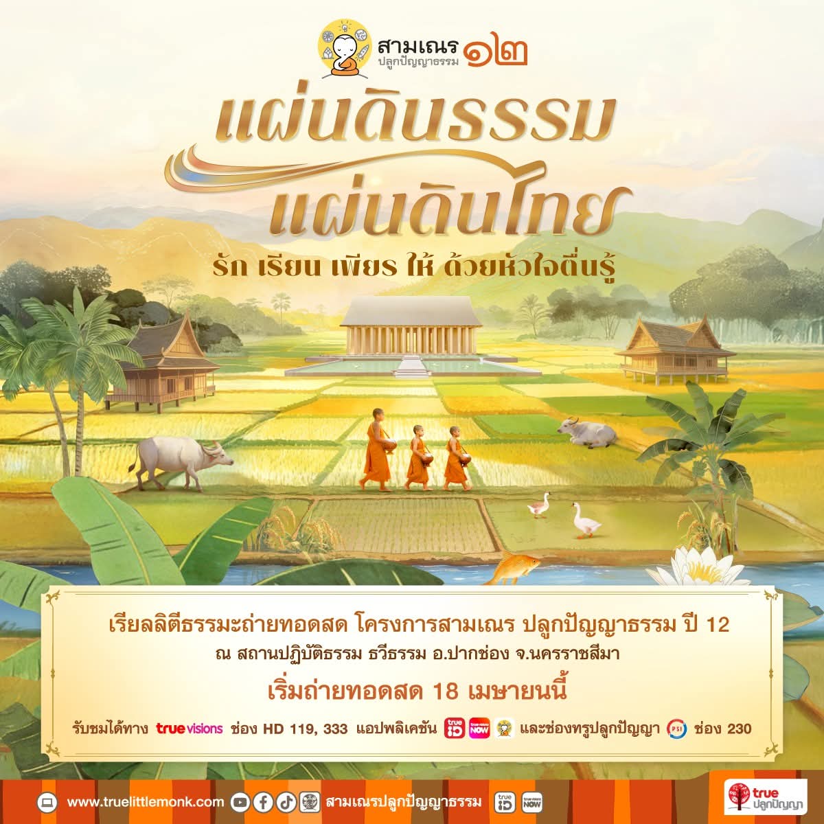 🖤🤍🍀 tweet media