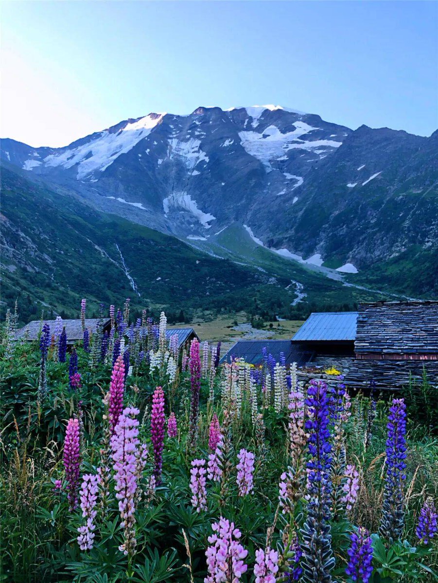 Maggi Johnson tweet media