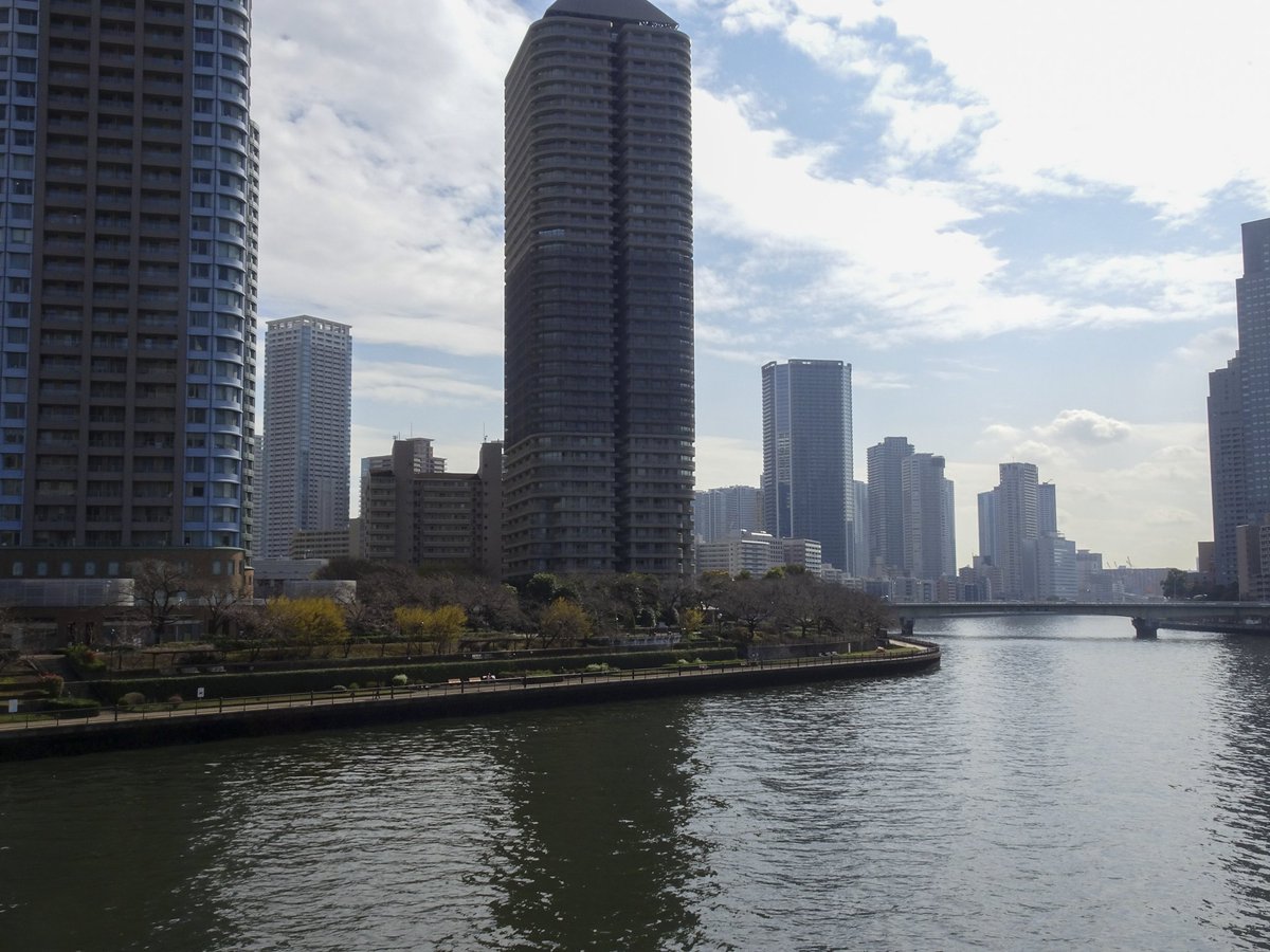 集まれ！隅田川 tweet media