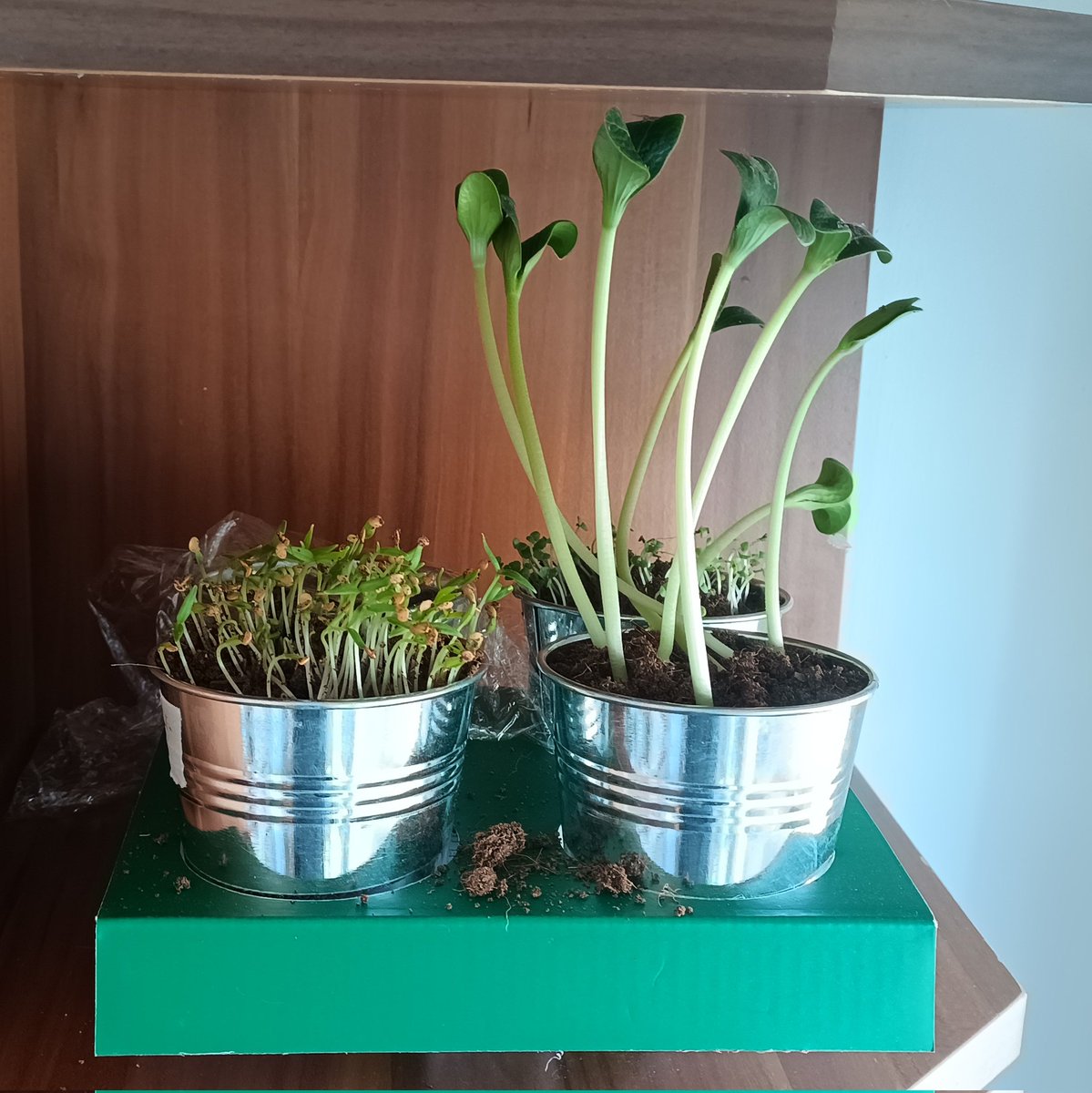 Agyaszült Esztelen tweet media