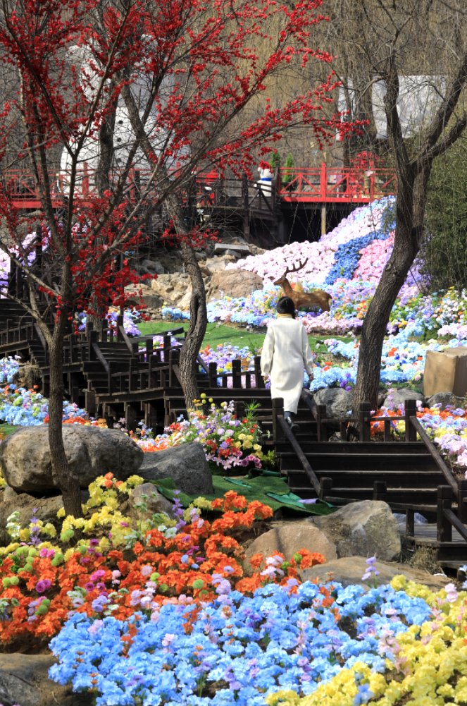 Amazing Weifang tweet media