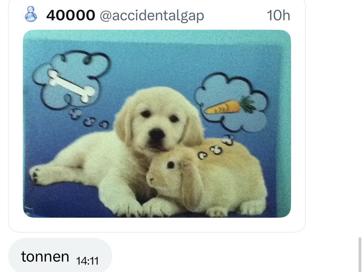 ⋆˙⟡♡ tweet media