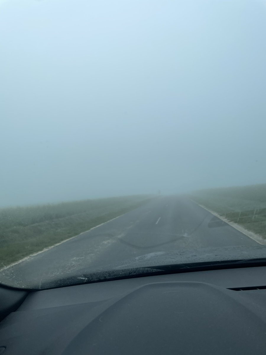 Blondie 🔞 tweet media